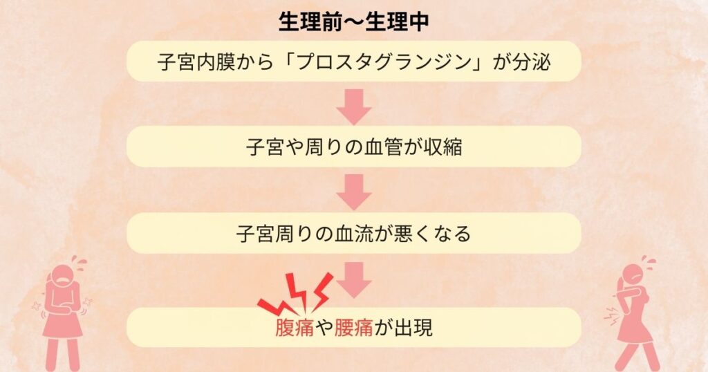 生理前や生理中に腹痛や腰痛が起こる原因